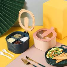 Partition Kitchen Seasoning Box Masala Box Set 4 Grid Portion Spice Jar