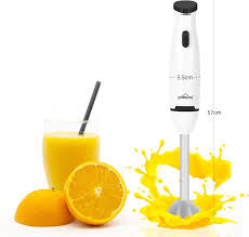 Stainless Steel Hand Blender
