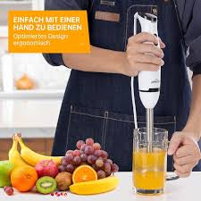 Stainless Steel Hand Blender
